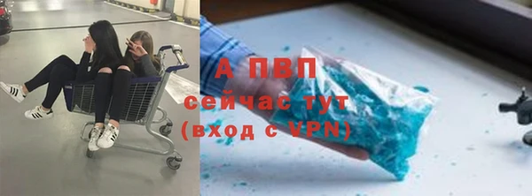 тгк Горняк