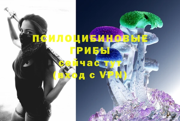 тгк Горняк