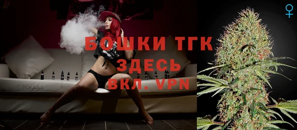 стаф Болотное