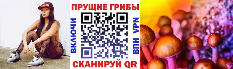 мега ТОР  Гусиноозёрск  Псилоцибиновые грибы Cubensis  даркнет сайт 